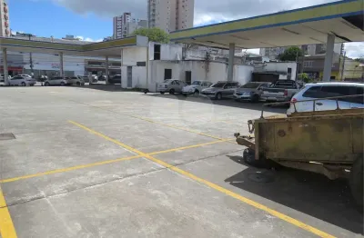 Terreno à venda ou para locação em vila mascote - sp