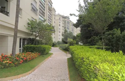 Apartamento com 3 quartos à venda em vila cruzeiro - sp