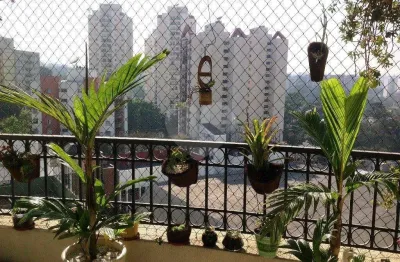 Apartamento com 3 quartos à venda em vila sofia - sp