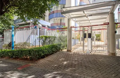 Apartamento com 3 quartos à venda em vila mascote - sp