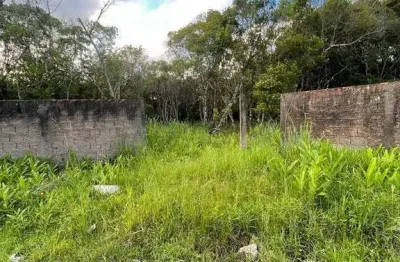 Terreno à venda, 490 m² por r$ 190.000,00 - retiro das caravelas  - cananéia/sp