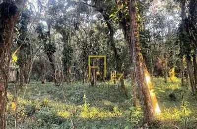 Terreno à venda, 1300 m² por r$ 375.000,00 - reserva da mata  - cananéia/sp