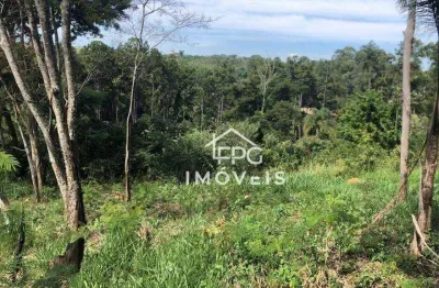 Terreno à venda no Jardim Marginal, Bom Jesus dos Perdões 