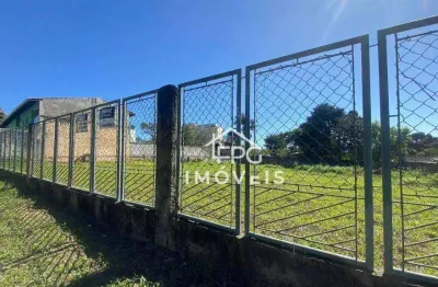 Terreno à venda na Avenida Paulista, Jardim Paulista, Atibaia