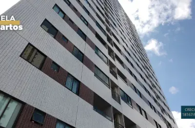 Apartamento - casa amarela - 02 qts - 52 m2 - próx sítio trindade - nascente
