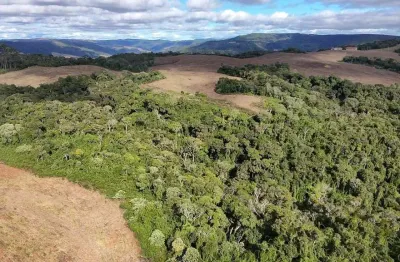 Fazenda para venda em leoberto leal, zona rural, 2 dormitórios, 1 banheiro