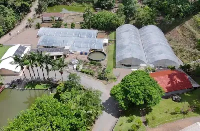 Sítio para Venda em Presidente Nereu, Boa Esperança, 6 dormitórios, 5 banheiros, 3 vagas