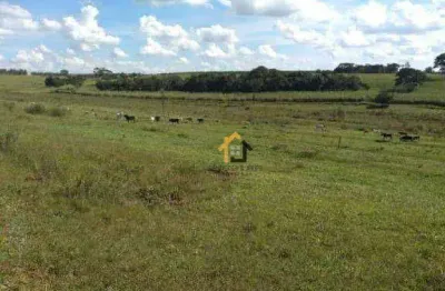 Sítio à venda, 545952 m² por r$ 5.188.800,00 - zona rural - álvares florence/sp