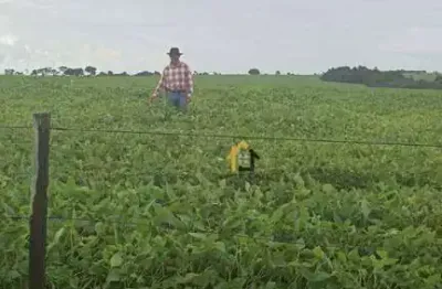 Fazenda à venda, 19021200 m² por r$ 17.685.000,00 - centro - santa rita do araguaia/go