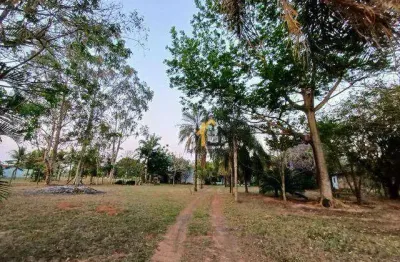 Chácara com 2 dormitórios à venda, 5000 m² por r$ 650.000,00 - terra de são lucas (zona rural) - são josé do rio preto/sp