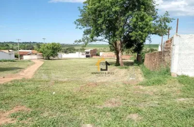 Terreno à venda, 3200 m² por r$ 1.000.000,00 - centro - promissão/sp
