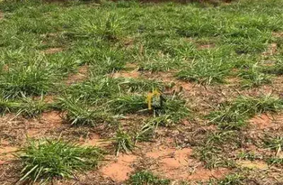 Terreno à venda, 220 m² por r$ 85.000 - menezes 5 - bady bassitt/sp