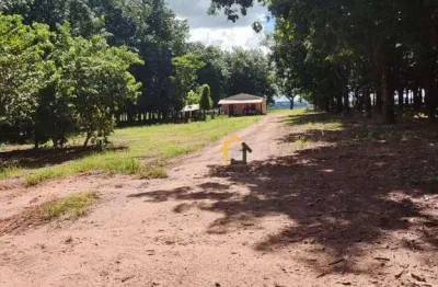 Sítio de 230.000 hectares à venda por r$ 5.750.000,00 - rodovia péricles bellini - votuporanga/sp