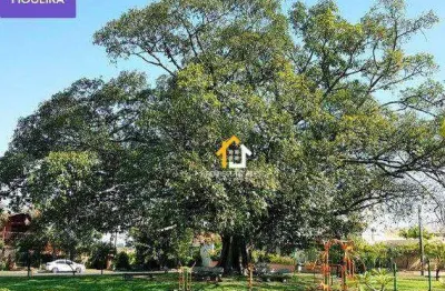 Terreno à venda, 350 m² por r$ 439.000 - village mirassol ii - mirassol/sp