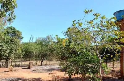 Chácara com 1 dormitório à venda, 8490 m² por r$ 950.000,00 - estância jóckei club - são josé do rio preto/sp