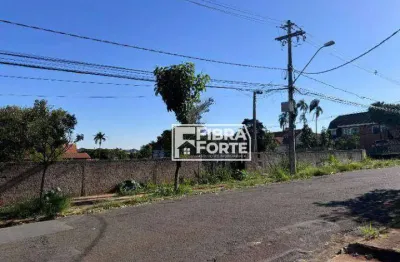Terreno comercial para alugar na Rua Afrânio Peixoto, Parque Alto Taquaral, Campinas
