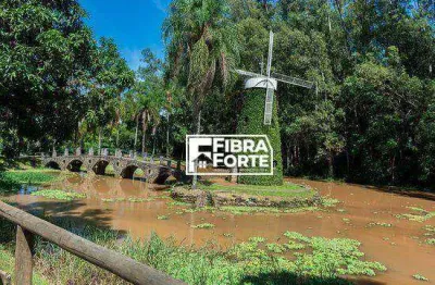 Terreno à venda, 437 m² por r$ 800.000,00 - swiss park - campinas/sp