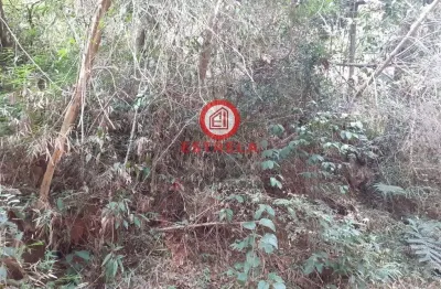 Chácara / sítio à venda na Rua Quatro, Fazenda Caetê, Santa Branca