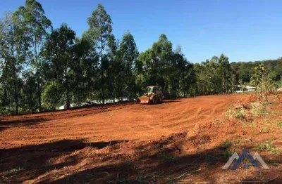 Terreno à venda, 5000 m² por r$ 600.000,00 - zona rural - londrina/pr