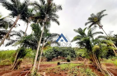 Terreno à venda, 20000 m² por r$ 450.000,00 - distrito maravilha - londrina/pr
