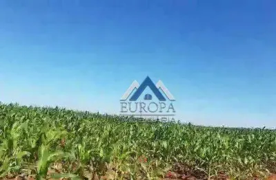 Fazenda à venda, 1495560 m² por r$ 26.000.000,00 - rural - bela vista do paraíso/pr