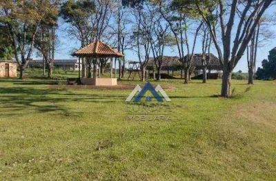 Terreno à venda, 1000 m² por r$ 300.000,00 - ilha do sol  - primeiro de maio/pr