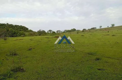 Sítio à venda, 242000 m² por r$ 1.500.000,00 - rural - leópolis/pr