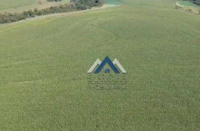 Fazenda à venda, 1815000 m² por r$ 23.100.000,00 - rural - leópolis/pr
