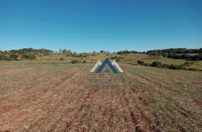 Sítio à venda, 726000 m² por r$ 7.500.000,00 - rural - santa cecilia do pavão/pr