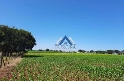 Área à venda, 27000 m² por r$ 3.000.000,00 -  distrito espírito santo - londrina/pr