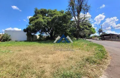 Terreno à venda, 1027 m² por r$ 821.600,00 - conjunto habitacional maria cecília serrano de oliveira - londrina/pr