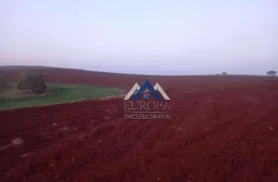Fazenda com 3 dormitórios à venda, 1306800 m² por r$ 14.480.000,00 - zona rural - cornélio procópio/pr