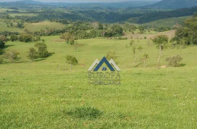 Fazenda à venda, 968000 m² por r$ 5.200.000,00 - lambari - sapopema/pr