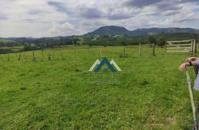 Sítio à venda, 556600 m² por r$ 3.450.000,00 - lambari - sapopema/pr
