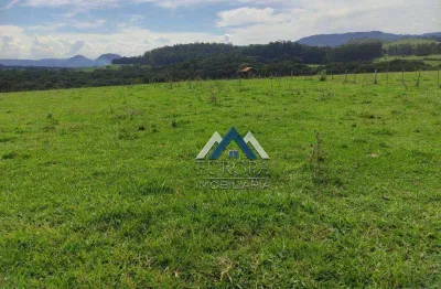 Sítio à venda, 556600 m² por r$ 3.450.000,00 - lambari - sapopema/pr