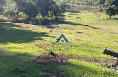 Chácara com 3 dormitórios à venda, 24200 m² por r$ 1.200.000,00 - contorno norte - ibiporã/pr