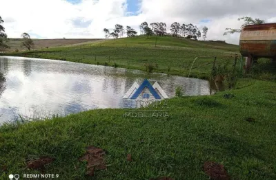 Sítio à venda, 220220 m² por r$ 3.300.000,00 - rural - sertanópolis/pr