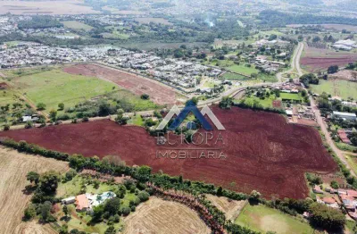 Área à venda, 8000 m² por r$ 4.000.000,00 - gleba palhano - londrina/pr