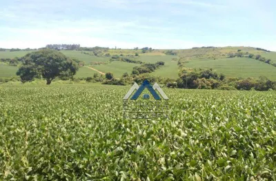 Fazenda à venda, 1694000 m² por r$ 22.000.000,00 - rural - sertanópolis/pr