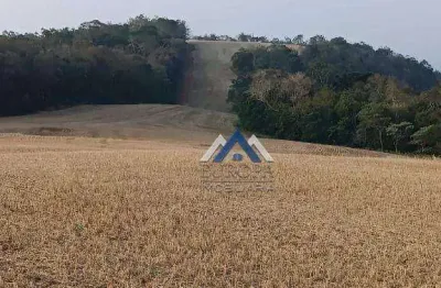 Fazenda com 5 dormitórios à venda, 5687000 m² por r$ 55.000.000,00 - zona rural - congonhinhas/pr