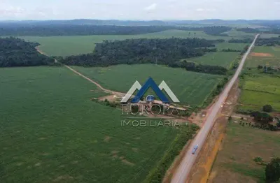 Fazenda com 5 dormitórios à venda, 35700000 m² por r$ 65.000.000,00 - comércio - itaituba/pa