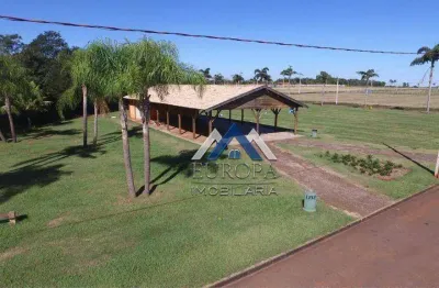 Chácara à venda, 1194 m² por r$ 150.000,00 - rodovia - sertanópolis/pr