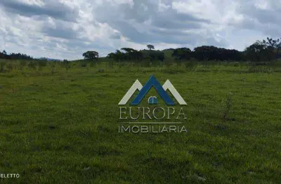 Fazenda com 3 dormitórios à venda, 1113200 m² por r$ 6.100.000,00 - rural - jacarezinho/pr