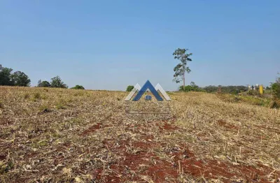 Área à venda, 252648 m² por r$ 5.090.000,00 - usina 3 bocas  - londrina/pr