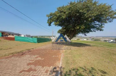 Terreno à venda, 1500 m² por r$ 420.000,00 - rodovia - sertanópolis/pr