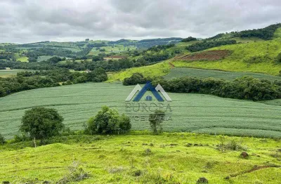 Fazenda com 4 dormitórios à venda, 762300 m² por r$ 6.700.000,00 - linha santana - catanduvas/pr