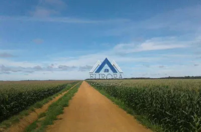 Fazenda com 6 dormitórios à venda, 159360000 m² por r$ 800.000.000,00 - zona rural - nova ubiratã/mt