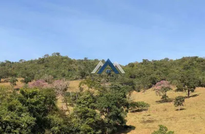 Fazenda à venda, 2178000 m² por r$ 15.000.000,00 - zona rural - santa cruz de goiás/go