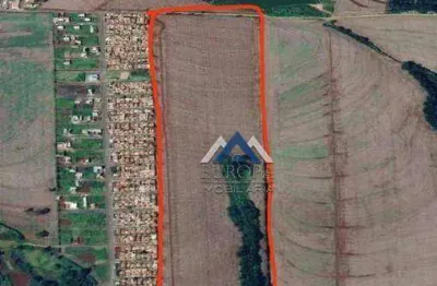 Área à venda, 290400 m² por r$ 15.600.000,00 - conjunto palmares - arapongas/pr