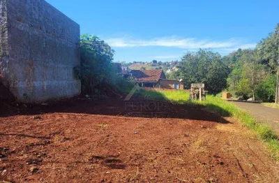 Terreno à venda, 429 m² por r$ 85.000,00 - jardim neman sahyun - londrina/pr